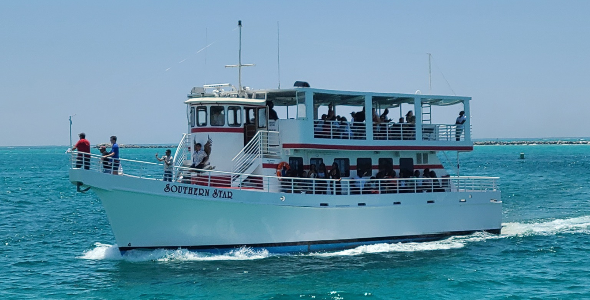 Dolphin-Cruises-Southern-Star