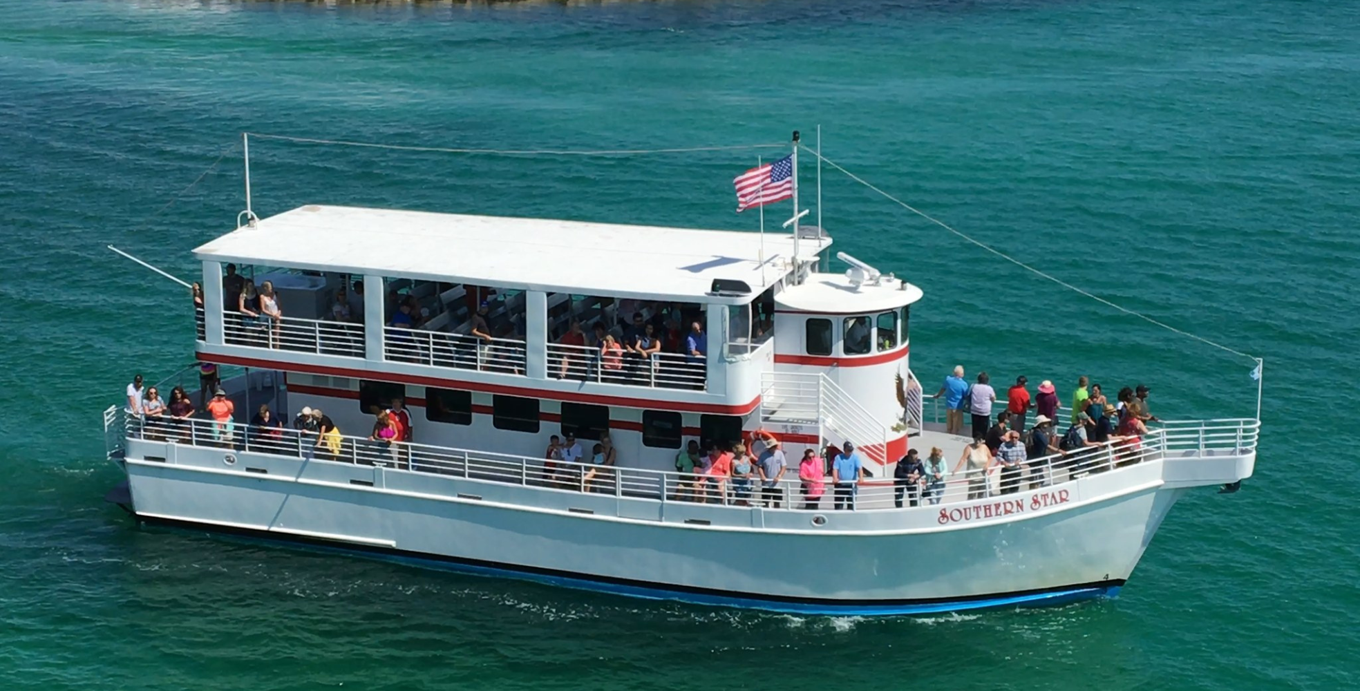 Dolphin-Cruises1